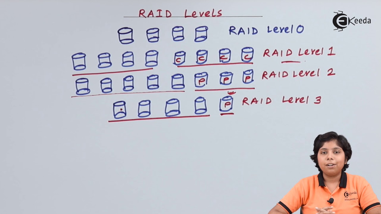Raid Levels