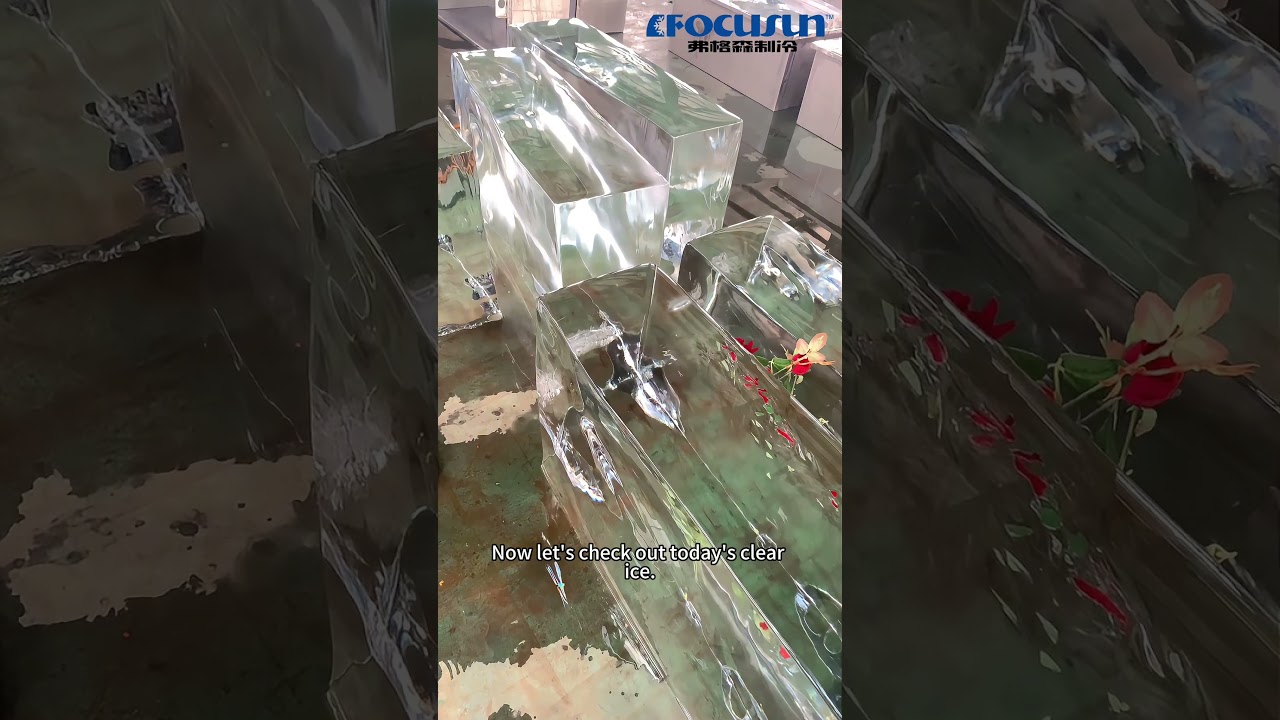 Professional Clear Ice Maker Crystal Ice Machine for Hotels, Caf&eacute;s, and Catering