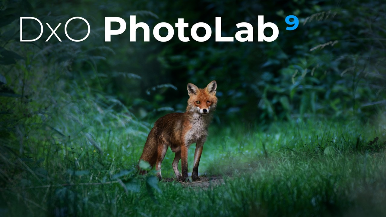 Wie gut sind die KI Masken in PhotoLab 9?