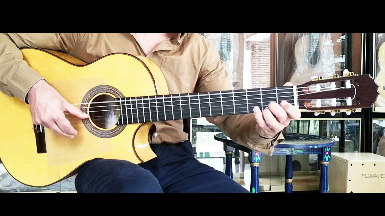 Flamenco Cutaway Guitar 