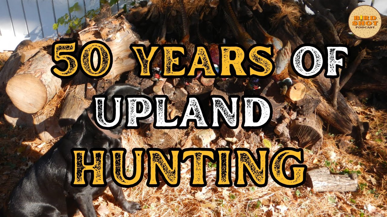 #331 | 50+ Years of Upland Hunting over Flushing Dogs with Randy Shepard