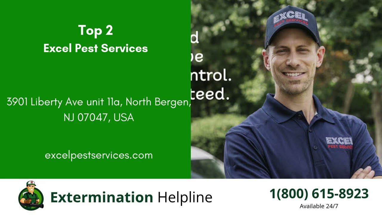 Top 3 Exterminators in Oak Forest