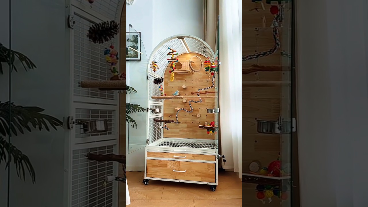 This is a super luxurious parrot cage set. #parrots #birds #pets