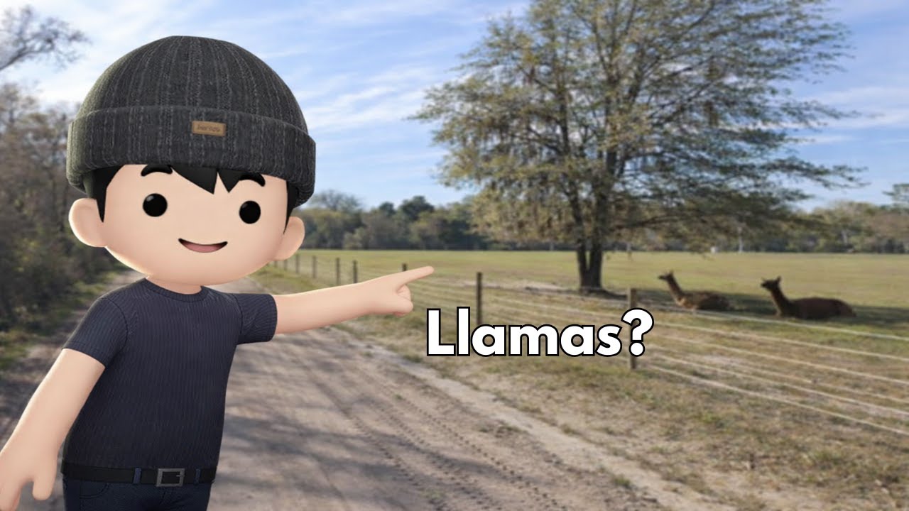 Ламы? [Geoguessr Duels] 1042 Эло