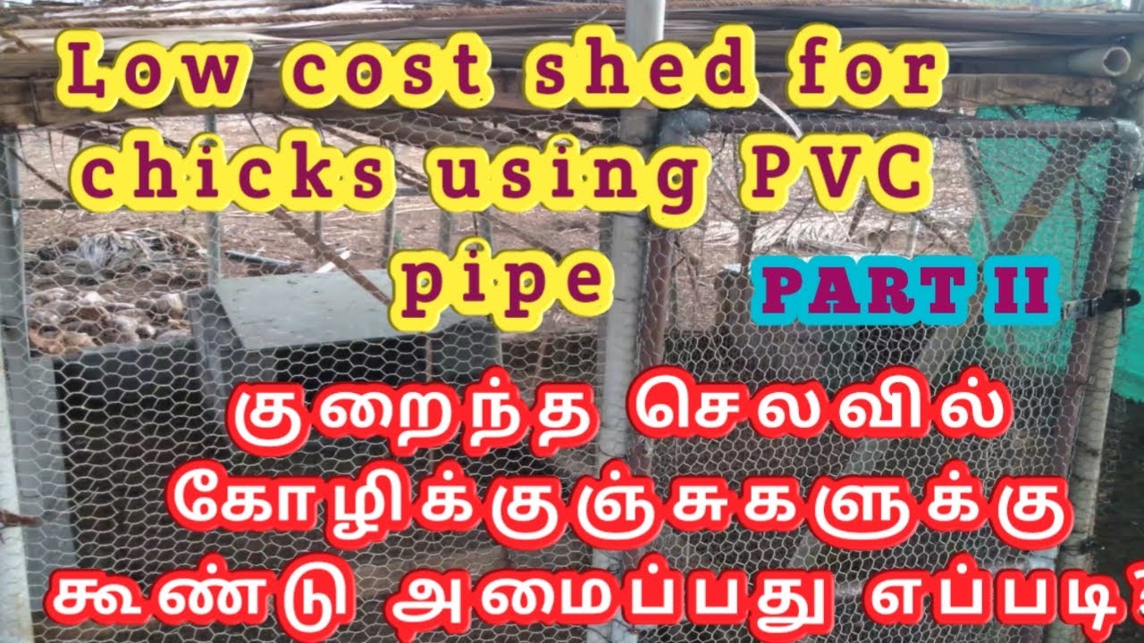 நாட்டுக்கோழி குஞ்சுகளுக்கு குறைந்த செலவில் கூண்டு அமைப்பது எப்படி? PART-2 || Low cost shed for chick