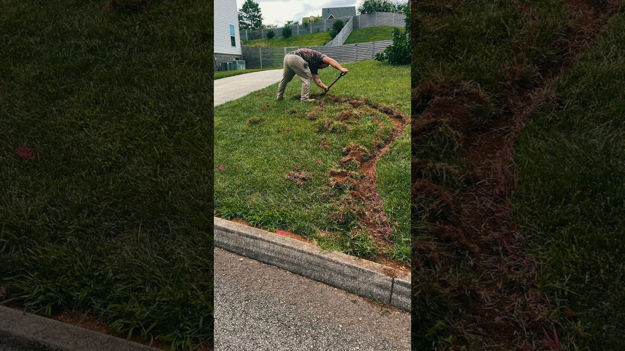 Creating a Flower Bed with Stone Borders
