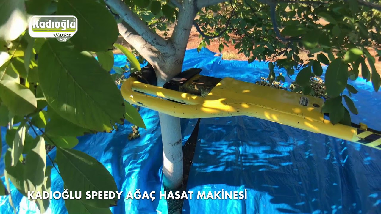 Genç Ağaçlar İçin Silkeleme Makinesi - Ceviz, Badem, Kayısı, Vişne, Elma - Kadıoğlu Speedy