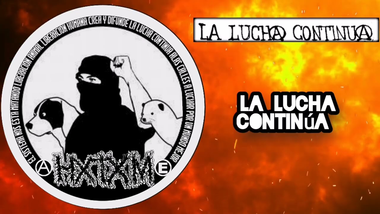 HAZLO T&Uacute; MISMO - LA LUCHA CONTIN&Uacute;A