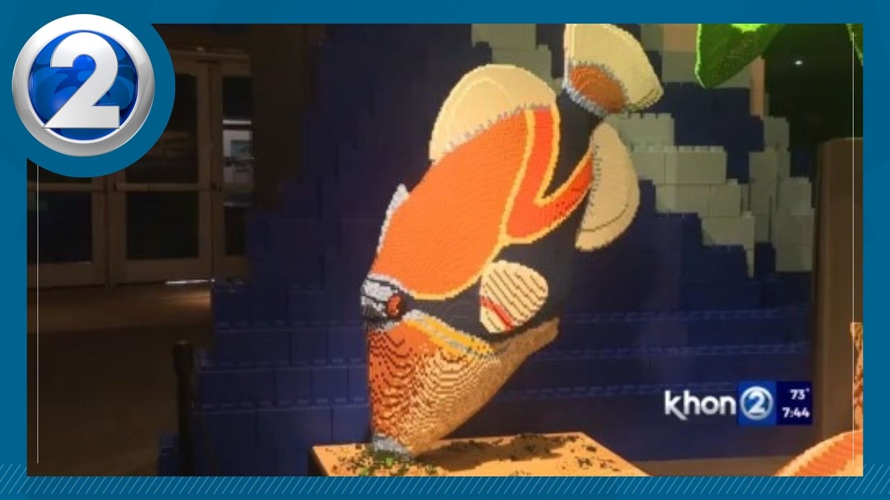 New exhibit shares stories of Hawaii in large scale, 3D creations