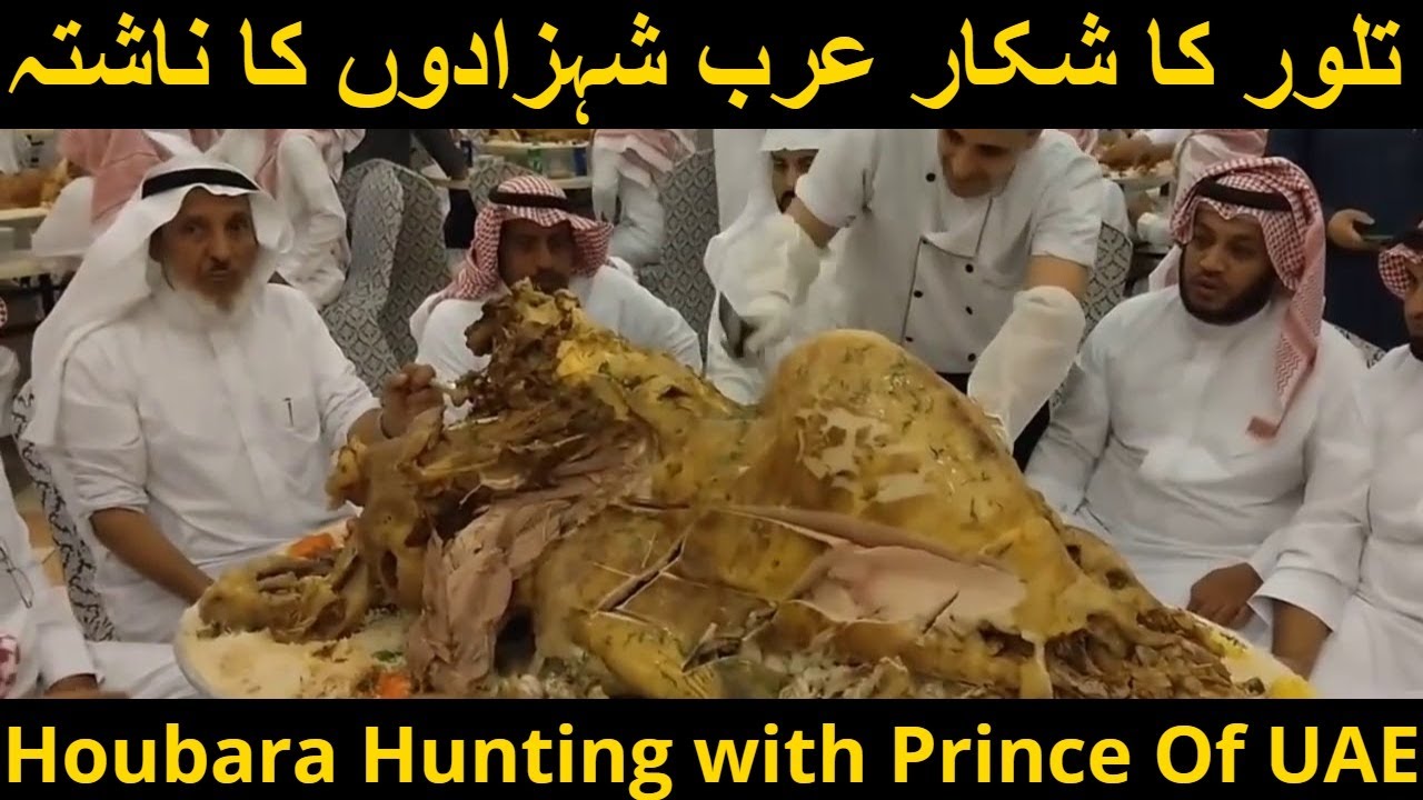 Taloor hunting in Pakistan| Arab Sheikhs favourite breakfast dishes making in Baluchistan Hunting