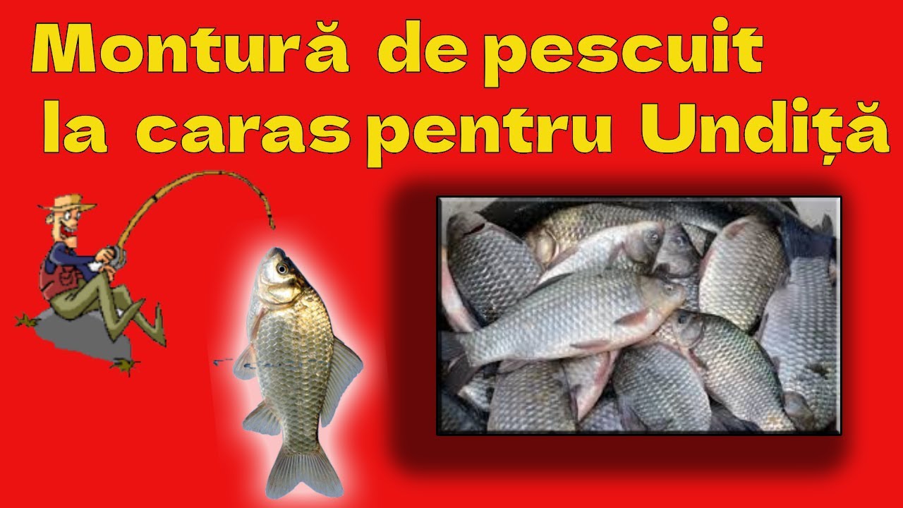„Montură de Finețe pentru Caras 2025 | Plută și Plumb Culisant  🐟🎣”