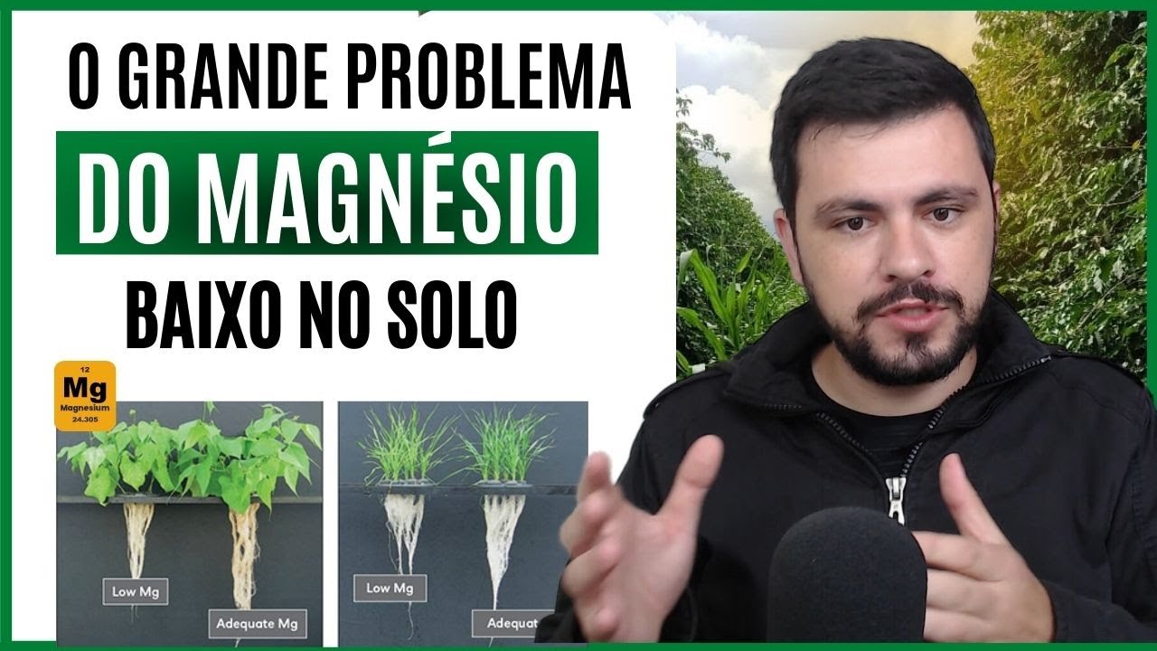 Já olhou o nível de MAGNÉSIO no solo? Como podemos corrigir?