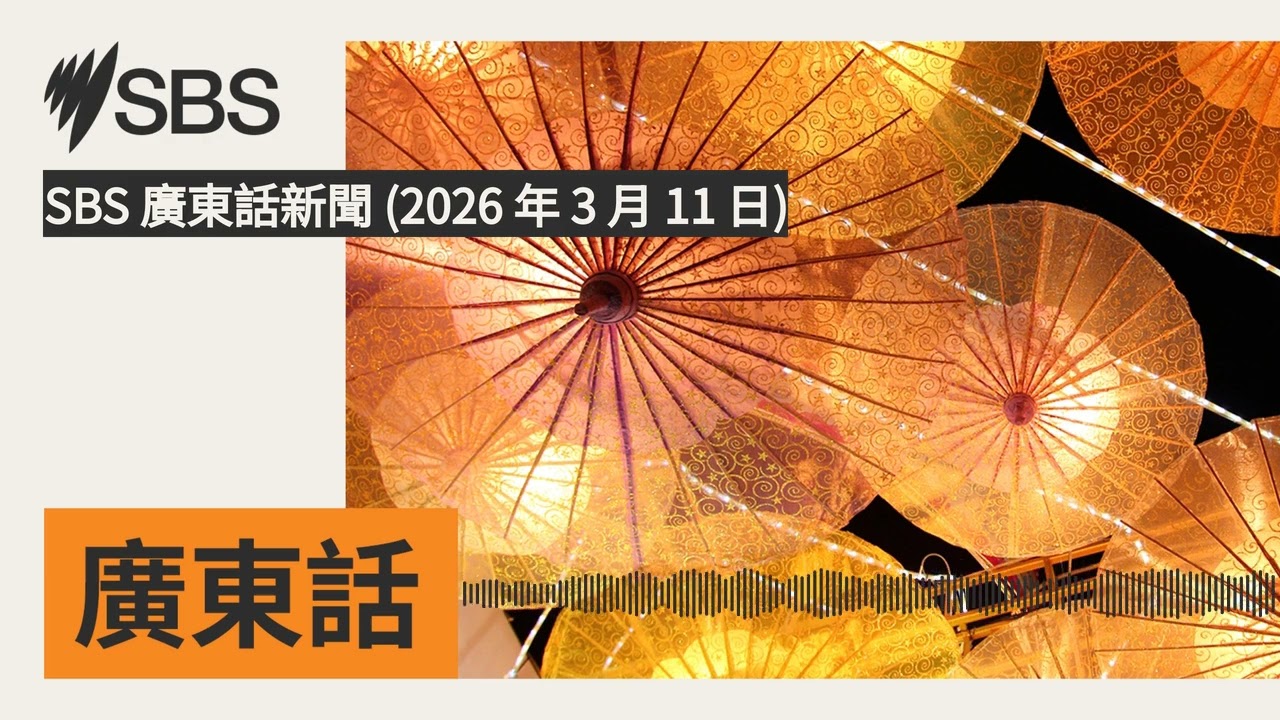 SBS 廣東話新聞 (2026 年 3 月 11 日) | SBS Cantonese - SBS廣東話節目