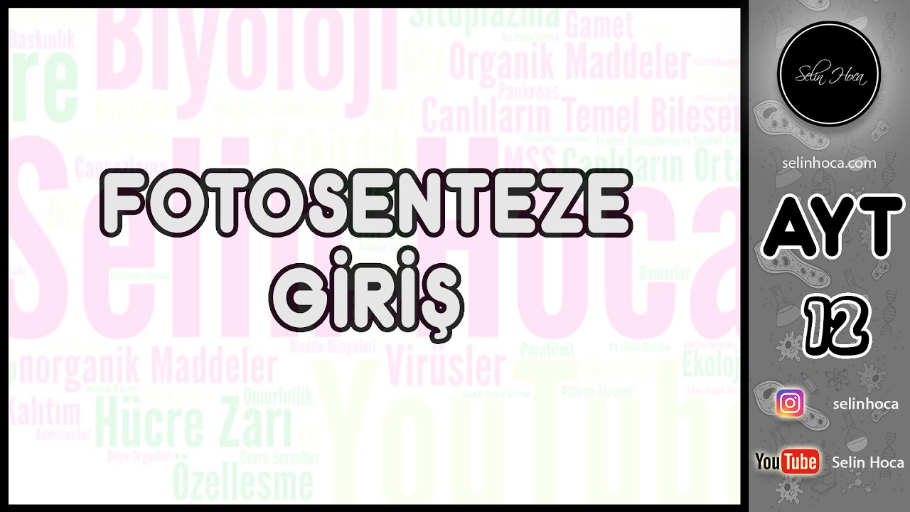 7) Fotosenteze Giriş