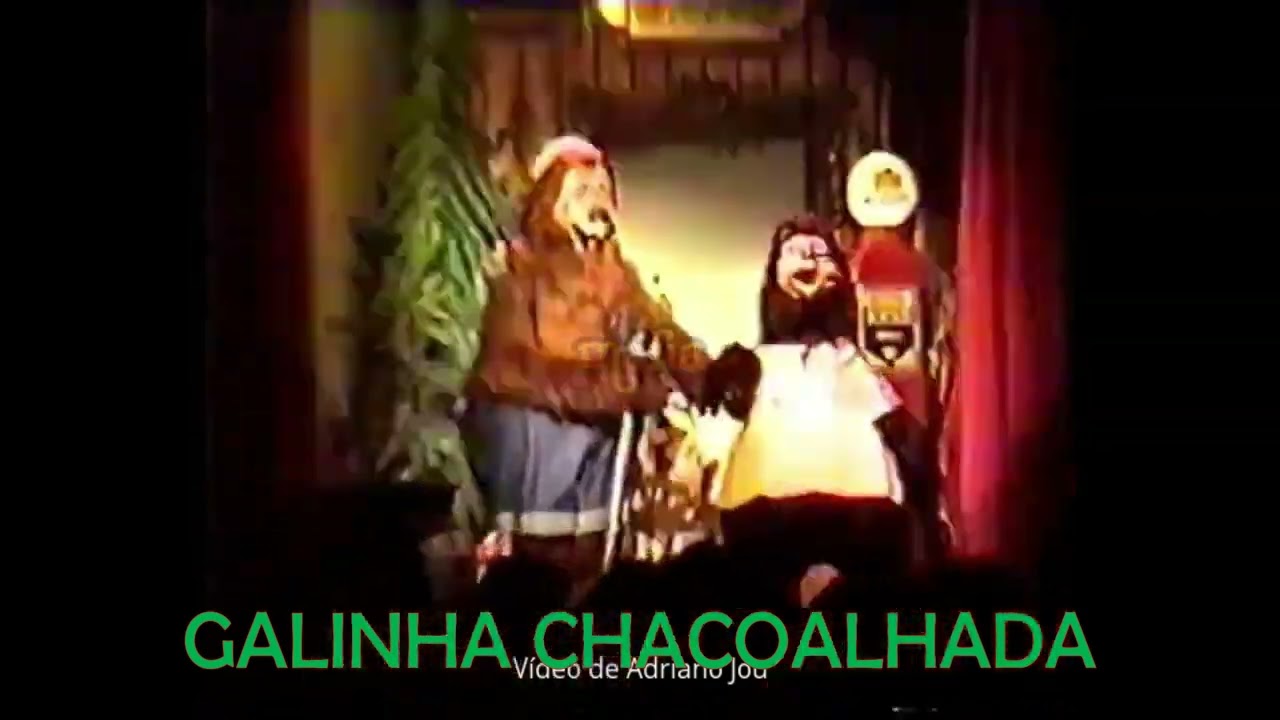 show dos ursos / galinha chacoalhada
