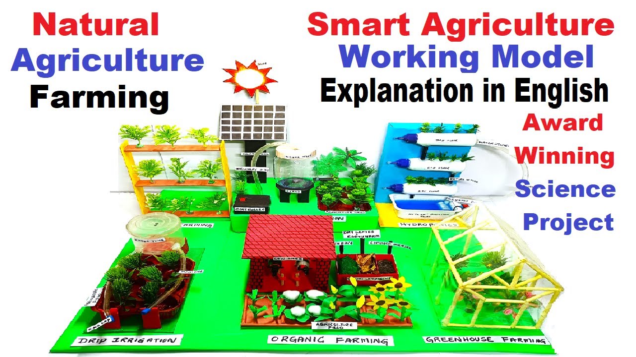agriculture working model (hydroponics - solar - greenhouse - drip irrigation) explanation english