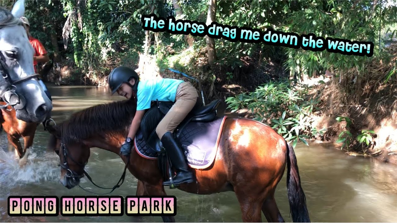 Blinky’s Horse Trail Ride: Pong Horse Park Chiangmai Thailand ขี่ม้าเทรลปงยั้งม้า เชียงใหม่
