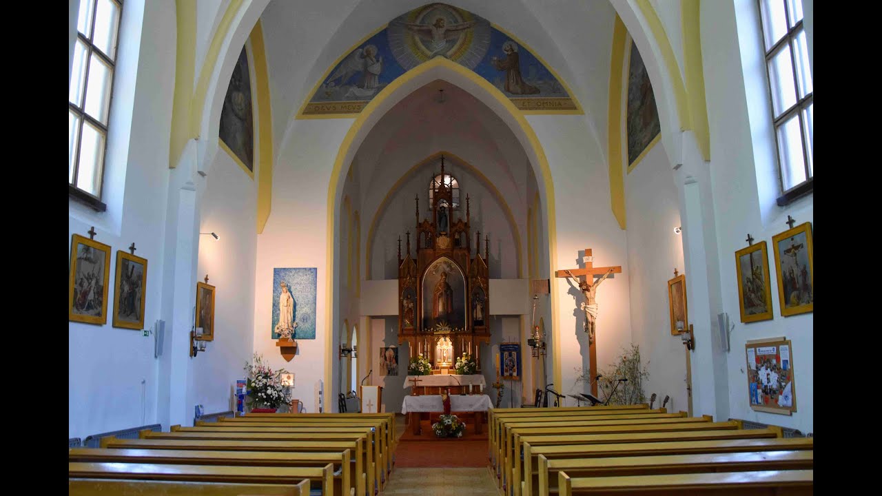 Žívý přenos