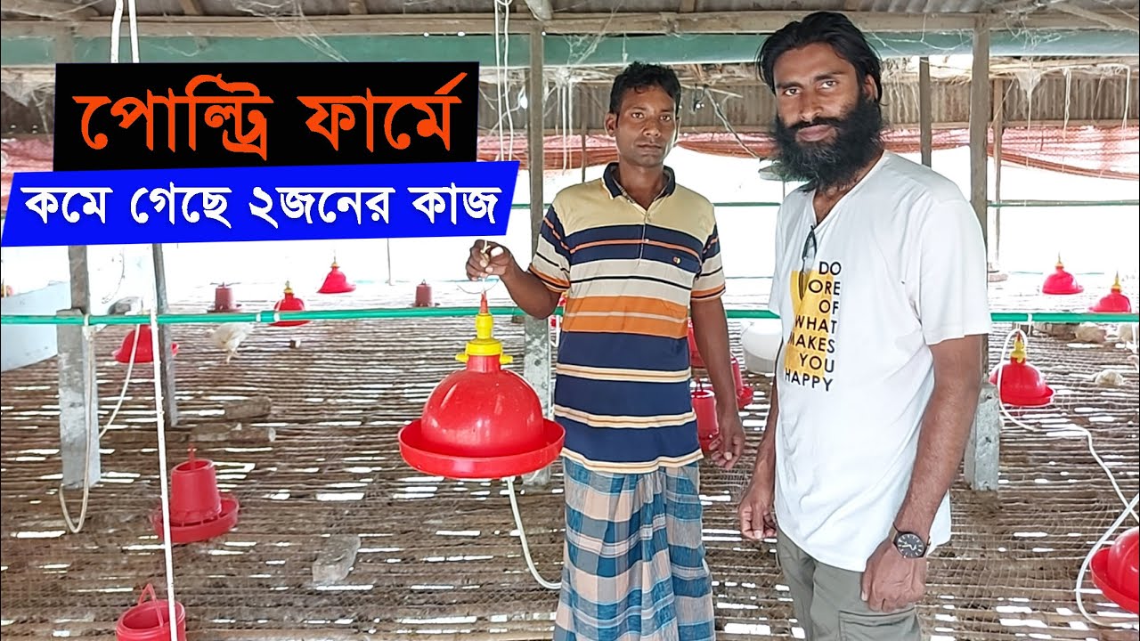 মুরগির ফার্মে কমে গেছে ২জনের কাজ ।। 01988883103 ।। Chicken farming