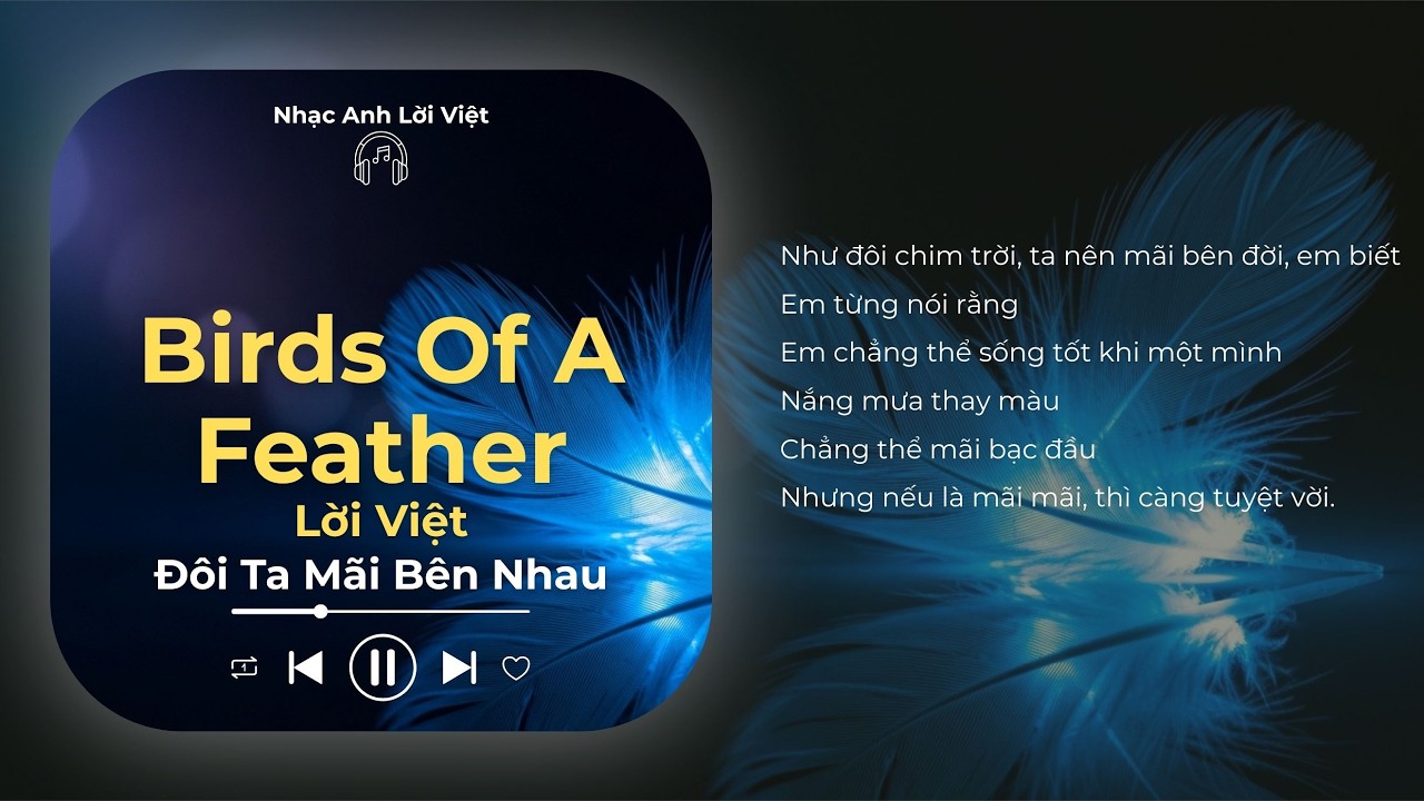 Birds of a Feather - Billie Eilish (Lời Việt) | Đôi Ta Mãi Bên Nhau