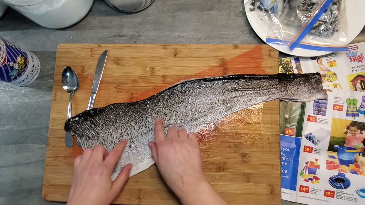 Nicole Travers Fish Leather Tutorial | FARR Program 2021