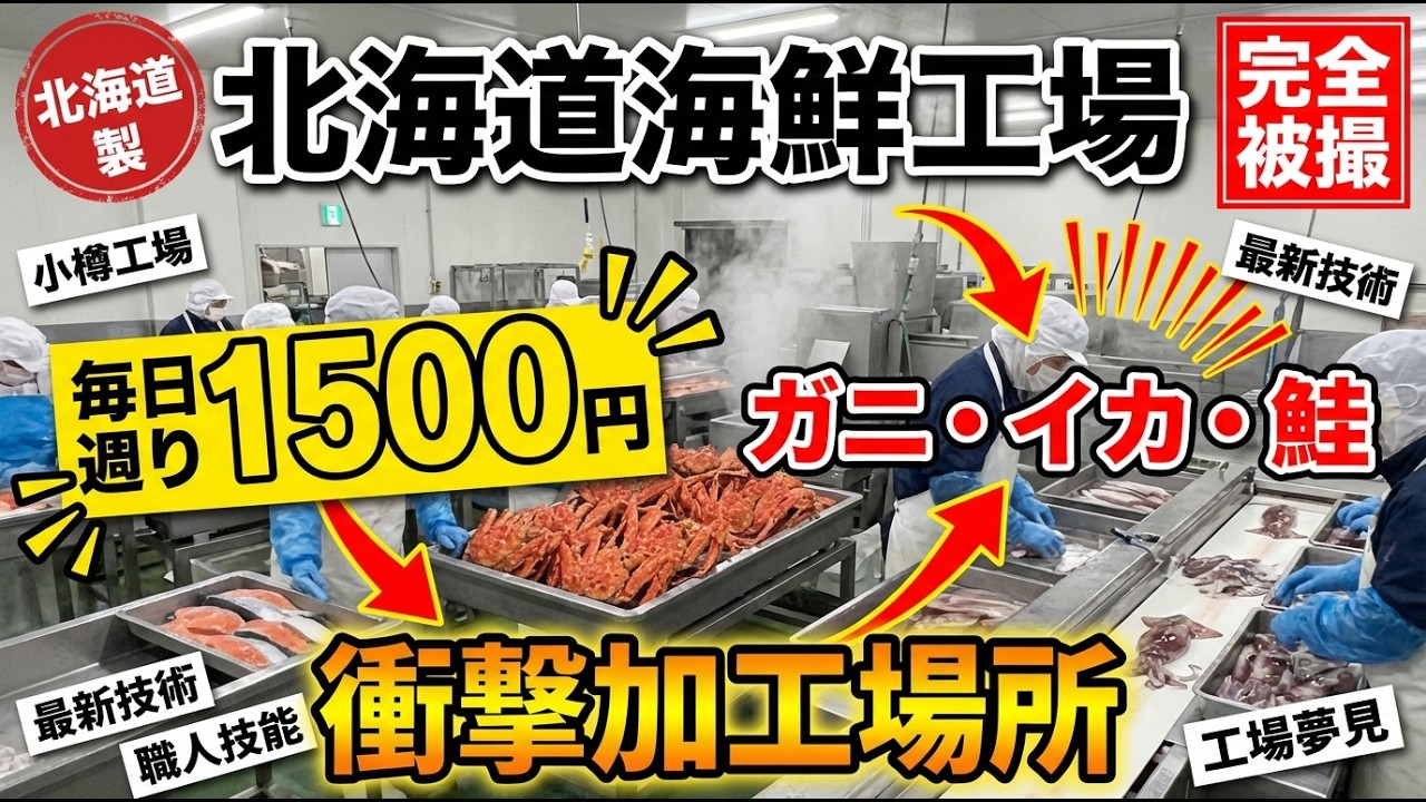 小樽の海鮮工場に潜入！巨大カニの殻むきから缶詰まで完全公開