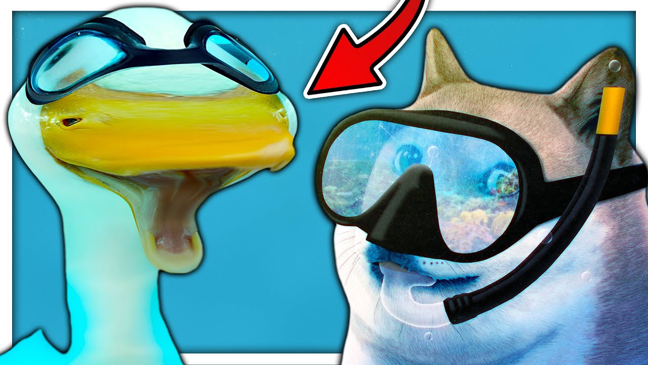 Simulatore di Paperelle 3. (Finalmente Papere Rare)