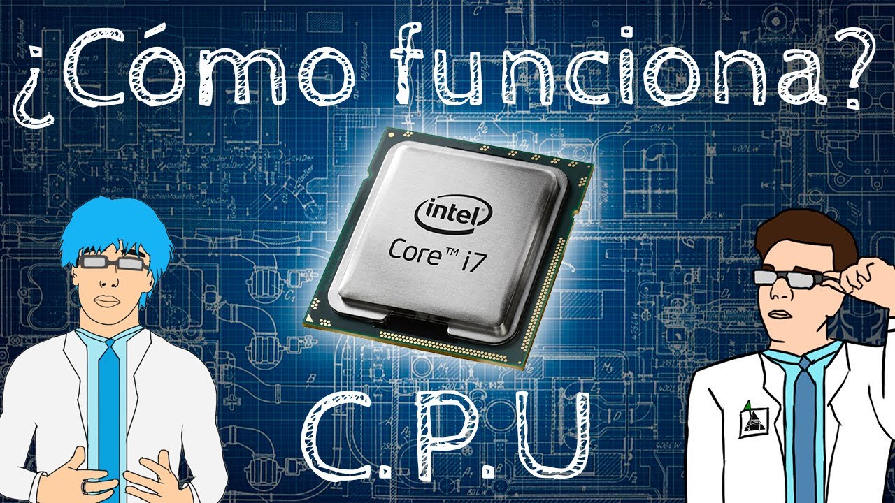 ¿CÓMO FUNCIONA UN CPU? | Guía explicativa