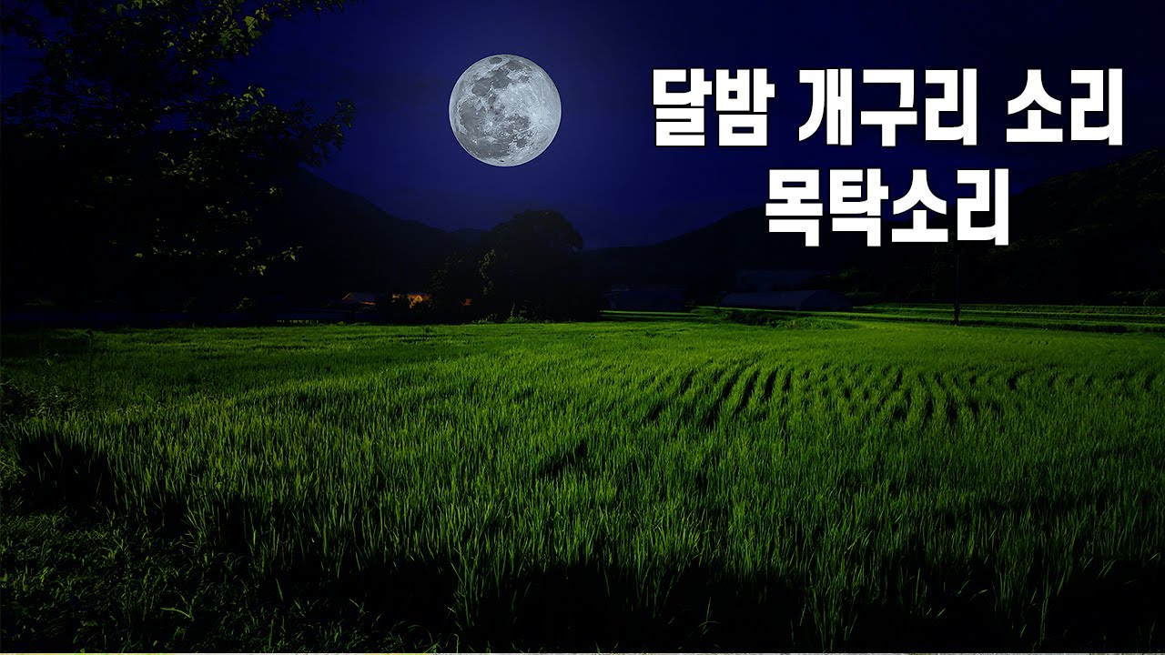시골 비오는 소리와 목탁소리 | 공부할때 듣기좋은 ASMR