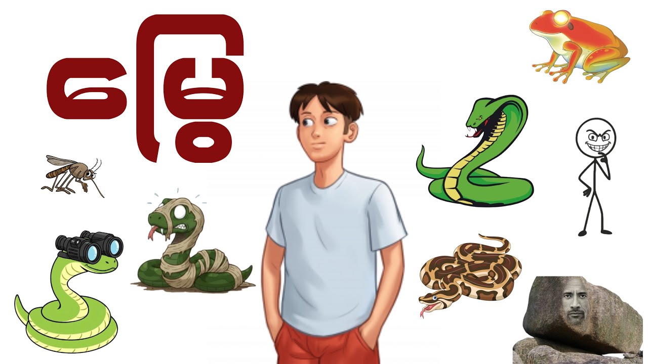 မြွေတွေရဲ့ ပြသနာ - Life of a Snake