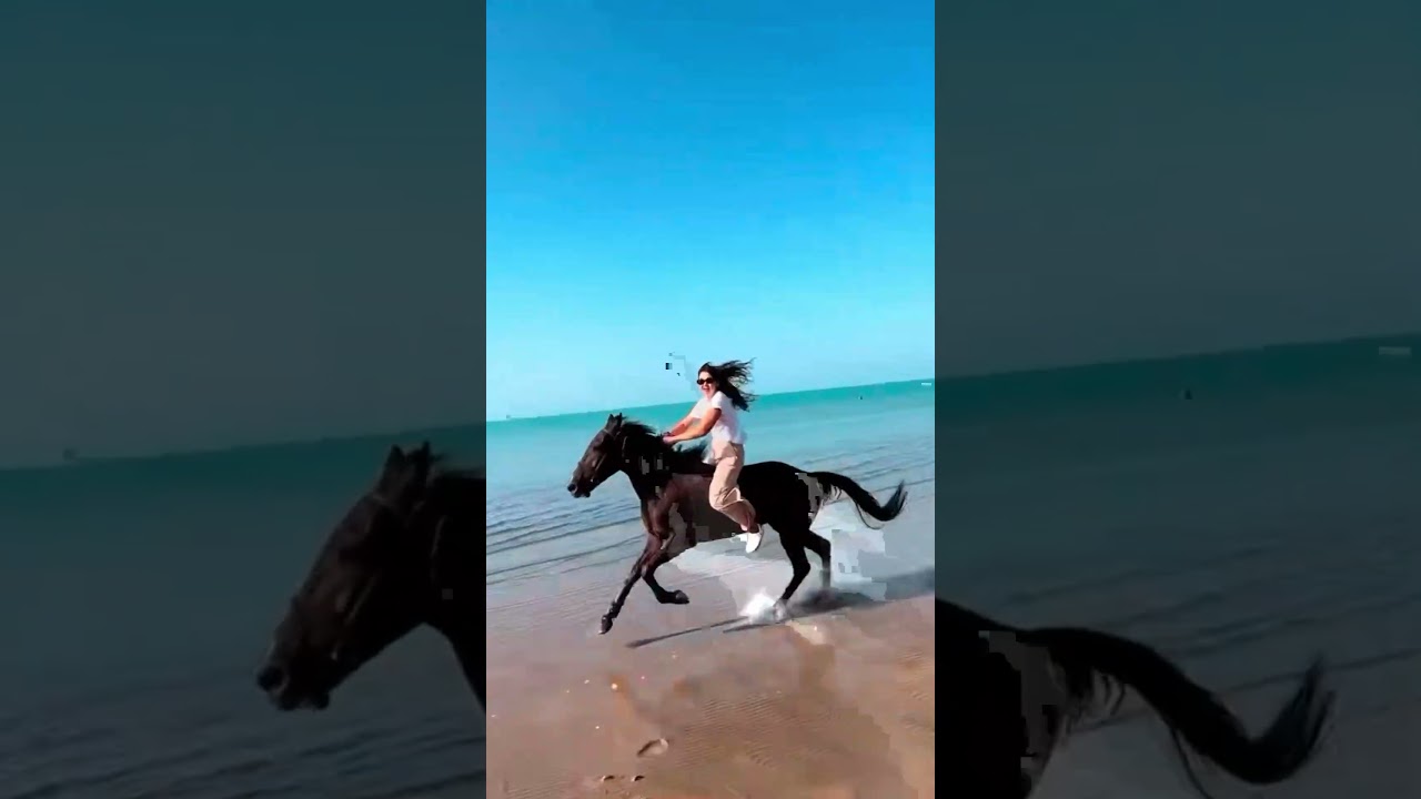 bareback horse riding at Sea beach #viralvideo #horse #equestrian #horseriding