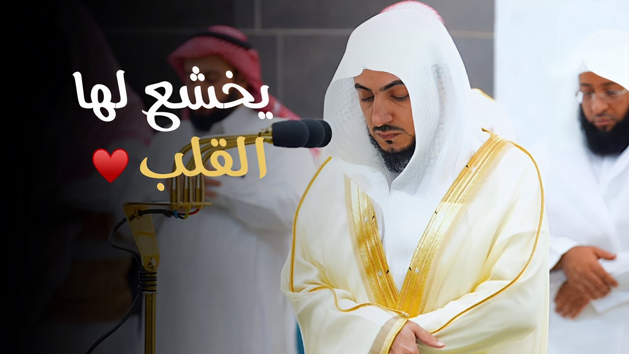 تلاوة تدبرية خاشعة من سورة المائدة للشيخ د. الوليد الشمسان | فجر الاثنين 4-4-1446هـ