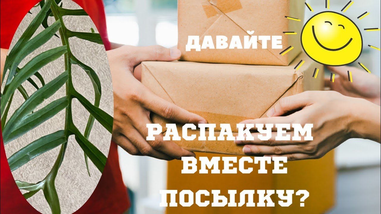 ДАВАЙТЕ РАСПАКУЕМ ВМЕСТЕ ПОСЫЛКУ?🤗