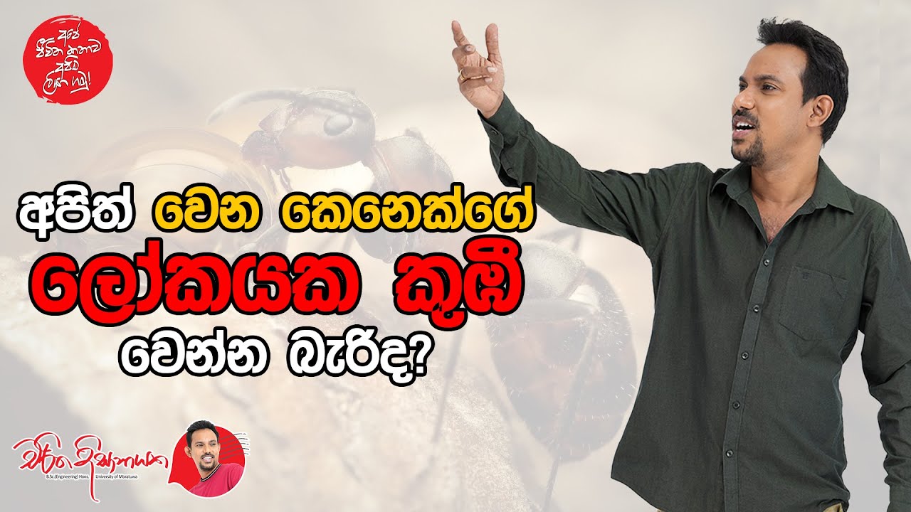 අපිත් වෙන කෙනෙක්ගේ ලෝකයක කුඹී වෙන්න බැරිද? | Charitha Dissanayake