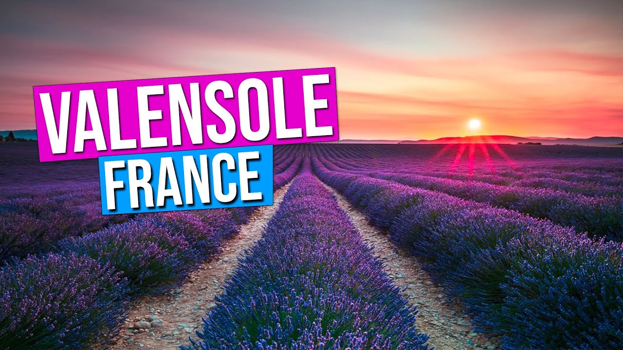 VALENSOLE, lavender fields of Provence, France (Sunset on the Valensole Plateau in Provence)