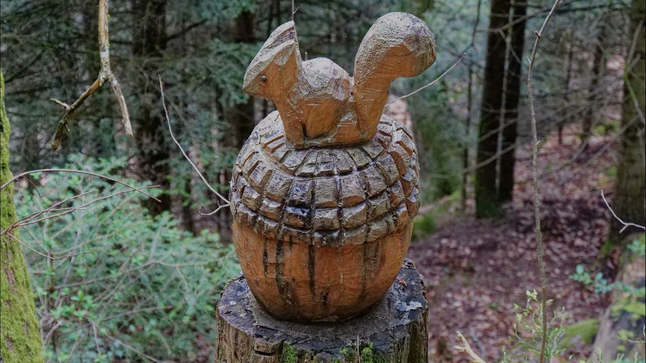 Rando vosgienne Charles du 03/03/24 le 