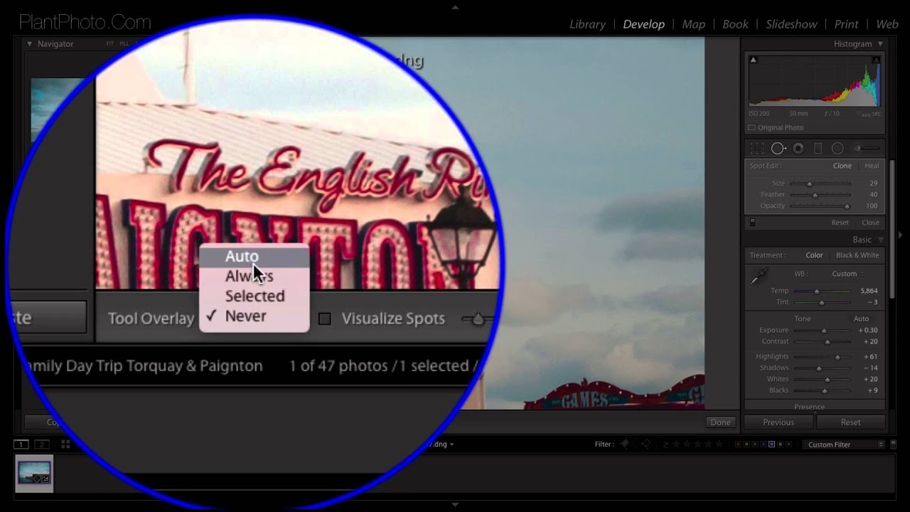 How to Use the Spot Removal Tool in Lightroom to Touch Up Your Photos