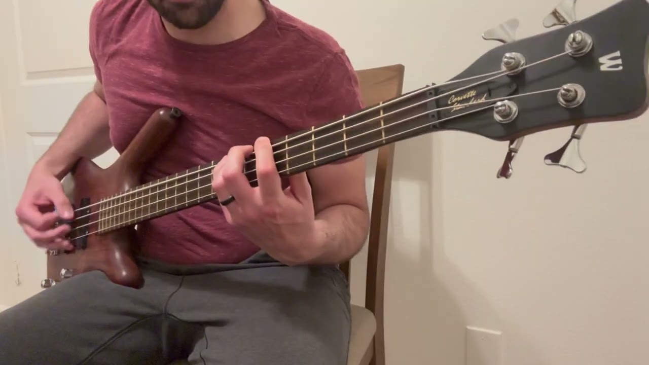 System of a Down - B.Y.O.B (Bass Cover)