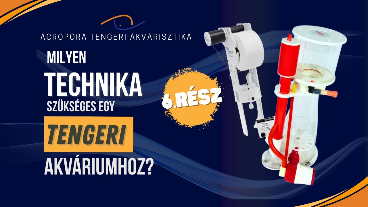 Hogyan építsünk tengeri akváriumot VI. rész : A TECHNIKA bemutatása 2 (Lehabzó, papírszűrő)
