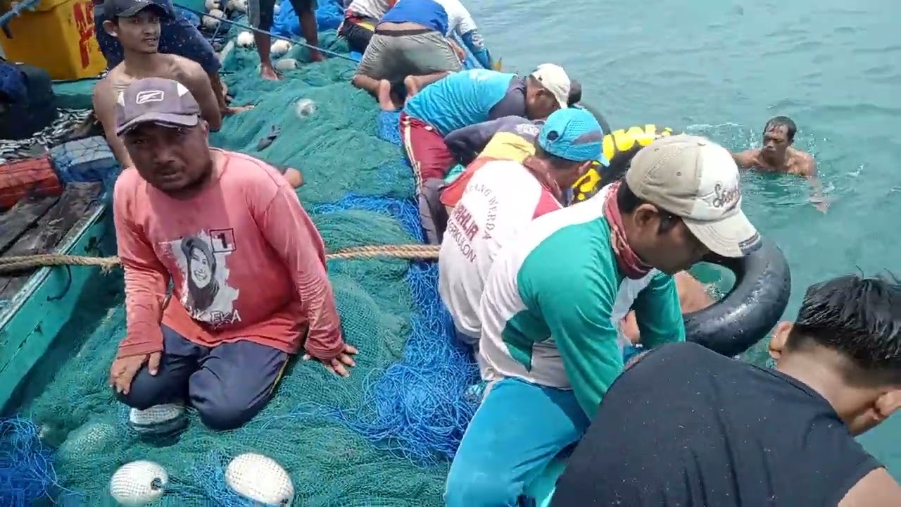 SUNGGUH MELIMPAH HINGGA PUTUS JARINGNYA TIDAK MUAT DENGAN IKANNYA