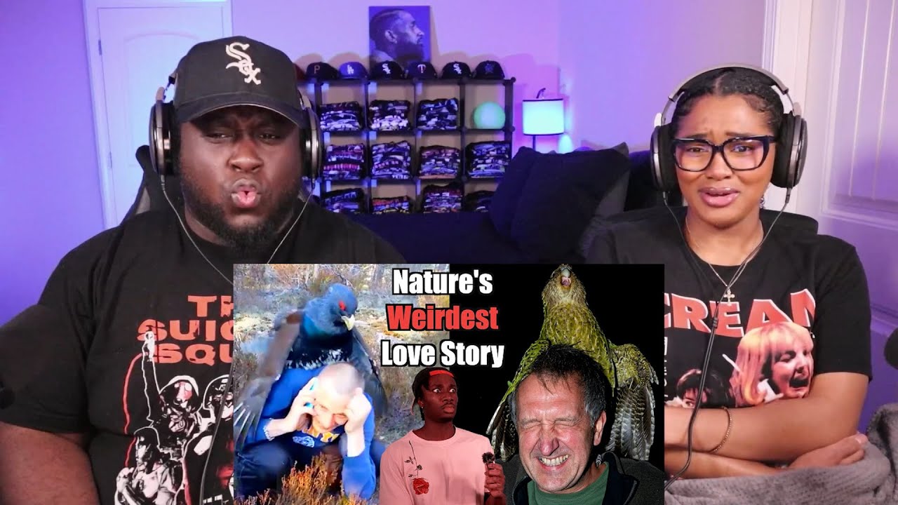 Kidd and Cee Reacts To The Science Behind Why Birds Find Us Attractive (Casual Geographic)