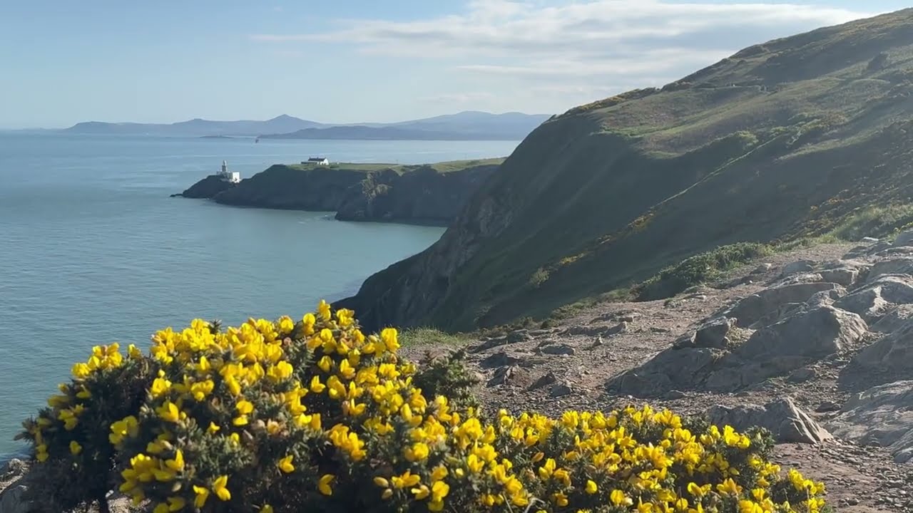 The Pondering Pepper: Howth Cliff Walk