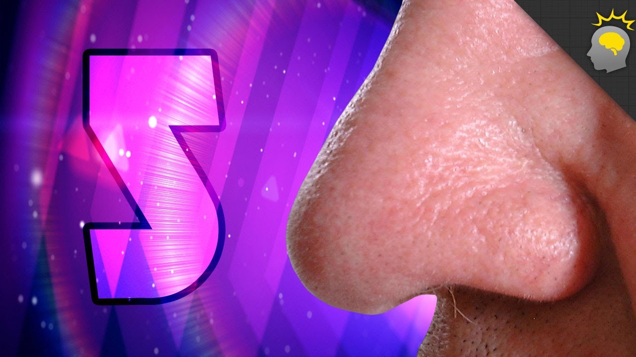 5 Weird Facts about Smell - Epic Science #55