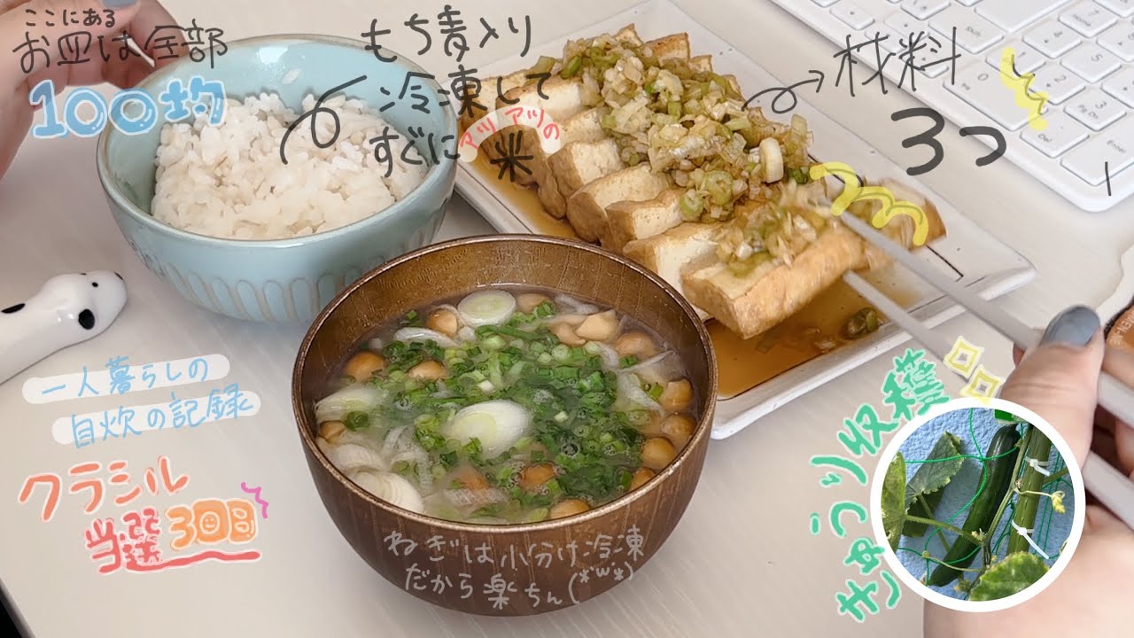 【053 自炊ルーティン】プランター家庭菜園収穫🥒クラシル当選｜ほぼ日の中身見せながら書いてます✒【29歳一人暮らし/フリーター/在宅勤務】