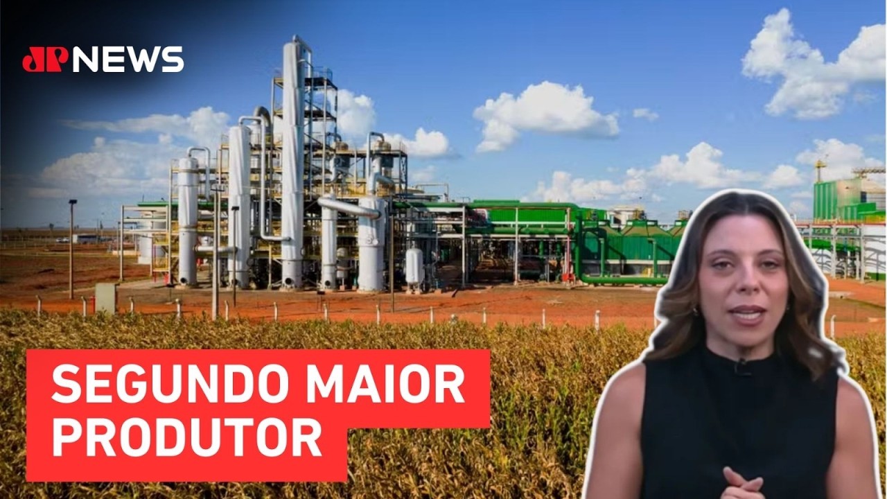 Mariana Grilli: Brasil avança na produção de etanol de milho