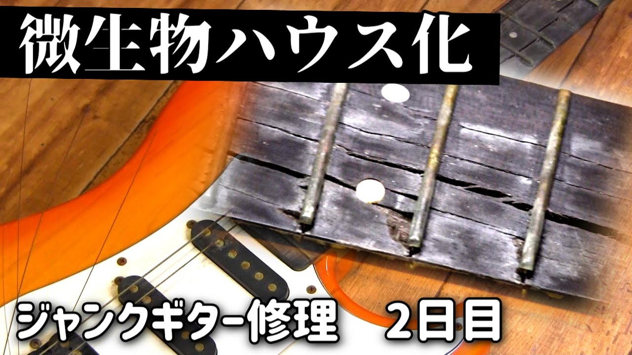 悪臭！腐った指板は微生物ハウス化　ジャンクギター再生 　２日目　YAMAHA YGS-112