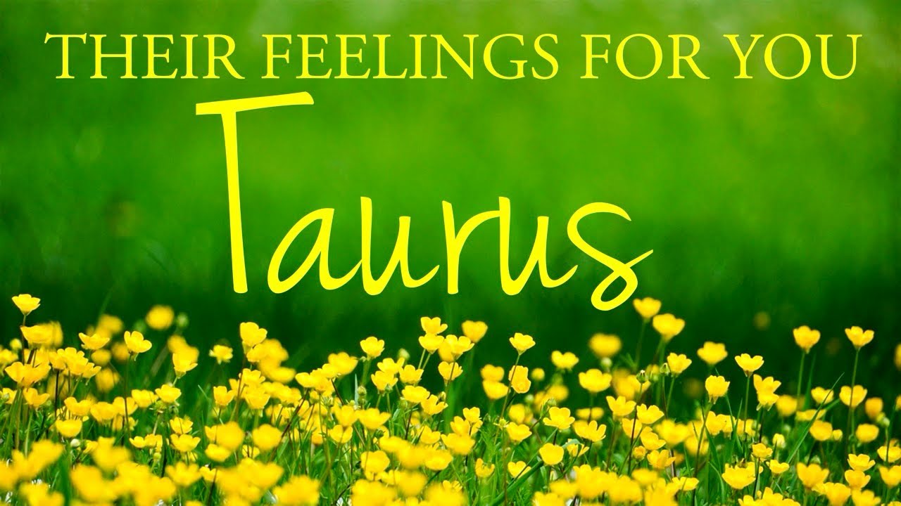 TAURUS love tarot ♉️ Someone Who Ghosted You Taurus 😶‍🌫️ You Should Hear What They’re Planning