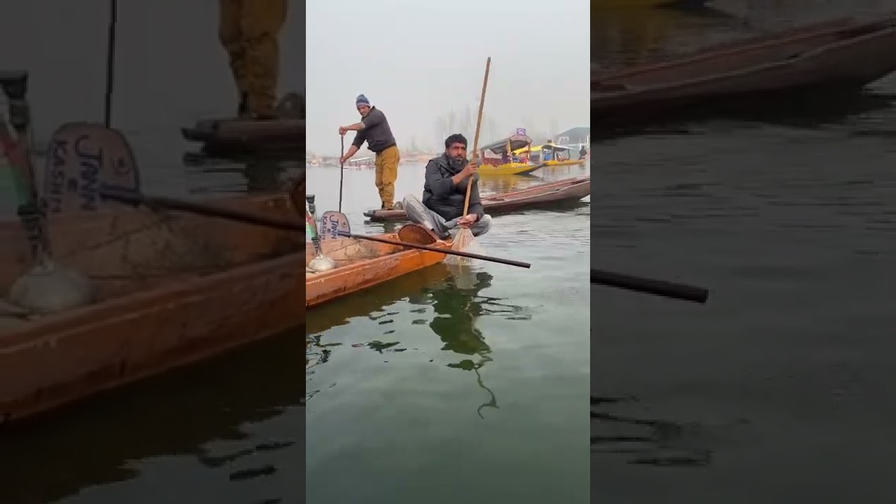Fish Catching in Dal Lake