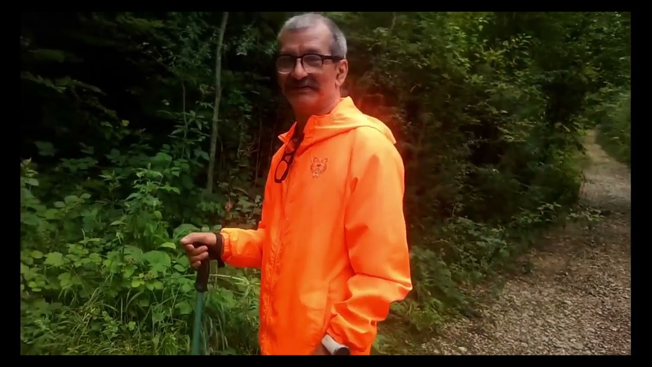 LES PERTES DE L 'AIN   JURA