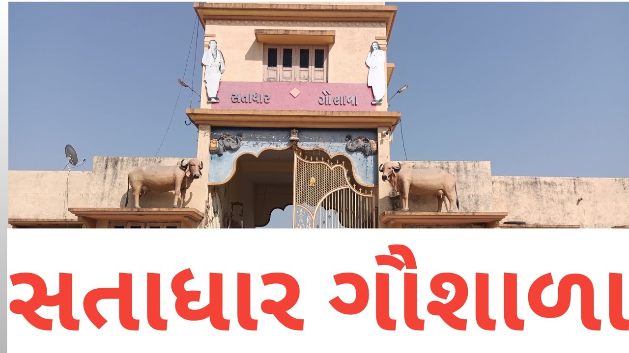 સતાધાર ગૌશાળા
